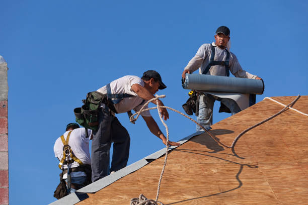 Best Roof Gutter Cleaning  in Oswego, IL